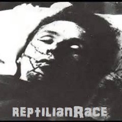 ReptilianRace