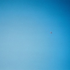 フェリーのりば