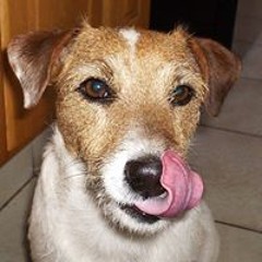 Alexander James Bramley