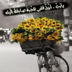 om mariam