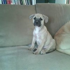 Kim Christensen Sørensen