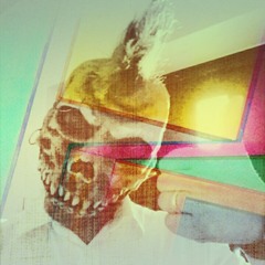 Danny Da Dog