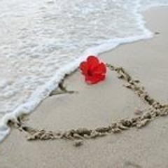 Mody Ahmed
