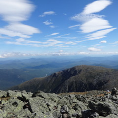 Can't stop improvising.