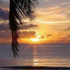 quintal100