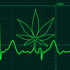 MelodicRapSativo HH2