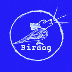 Birdog demo