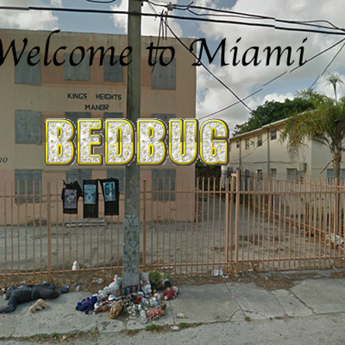 SoundCloud profile picture for @bedbug