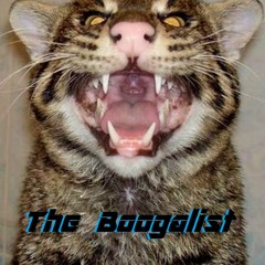 The Boogalist