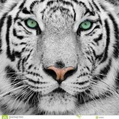 Salvatorangelo Clemente