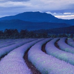 서사라 목사 (Sarah Seoh)