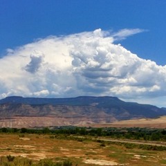 prestonalvarezpreston