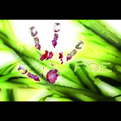 FOE - Raw Sketches - New Sounds due 2015