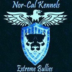 Nor-Cal Kennels Cammarota