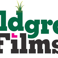 Wildgrass Films