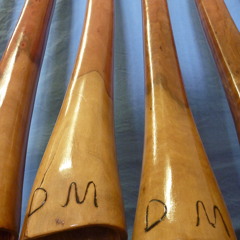 Appallingly Appealing