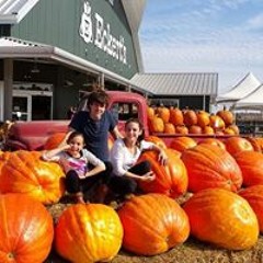 Andrea Wilhelm Duncan