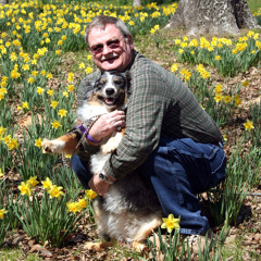 Gerald Lambert