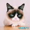 shepv