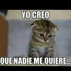 ya!!!!!!@@@