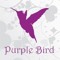 purple bird