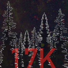 17K The Forest Music
