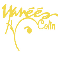 Yanéé Colin Channel