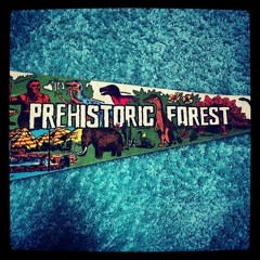 Prehistoric Forest