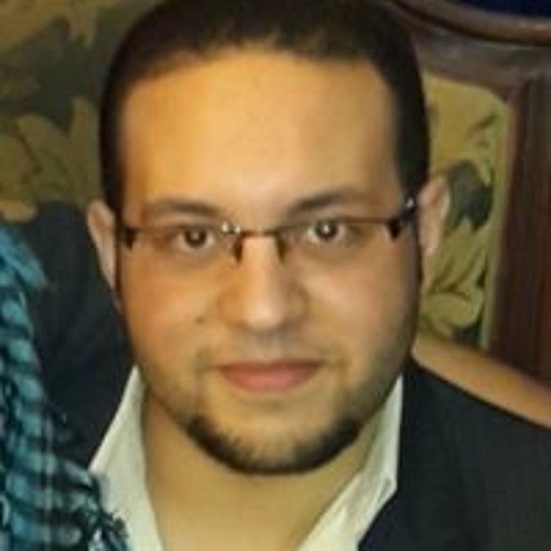 Mohamed S Elmahdy’s avatar