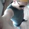 Patrick Dill