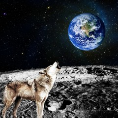 Alpha Wolf Entertainment