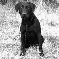 Laura Andrea Londoño