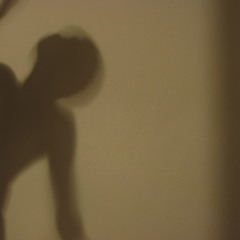 misterflai