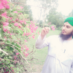 Muhammad Farhad 1