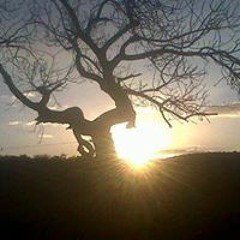 Akhona Vundisa-Maholwana