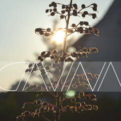 DAVINA