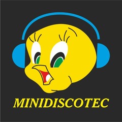 Mini Discotec