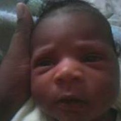 Culinary Cultivator Kemp