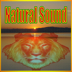 Natural Sound Oficial