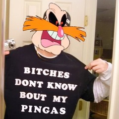 Netanel Pingas