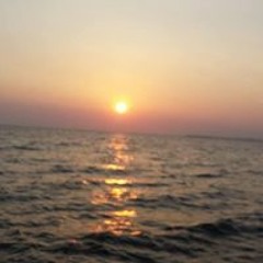 Blayne Summer Weiner