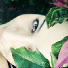 Luana D. S. Fonseca