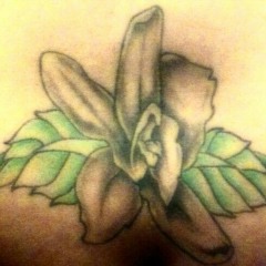 mz_bonita_applebum