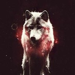 Kyle Christian Cundangan