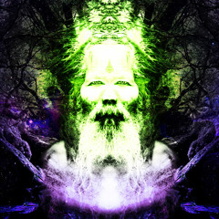 Electronic Shaman