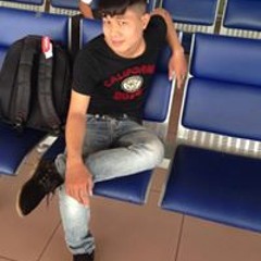 leviscity