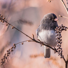 What a Day Beatmaker2