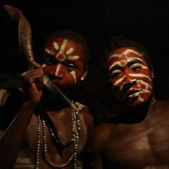 Mabwiti Forest 01