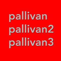 pallivan3