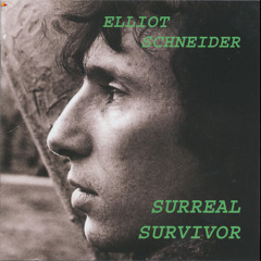 Elliot Schneider